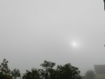 Morgennebel_7594.JPG