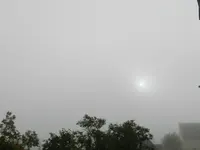 Morgennebel_7594.webp