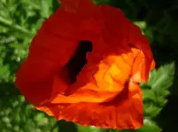 28.05.013.webp