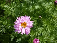 P1090047.webp