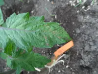 30. Mai 2013 (8).webp