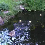 familie2.webp