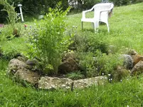 BILD0482.webp