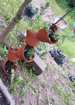 20130602_093454.webp