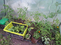 20130602_093649.webp