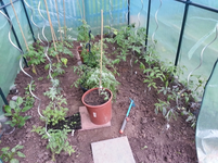 20130602_094038.webp