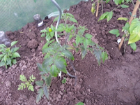 20130602_094100.webp