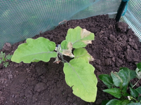20130602_094123.webp
