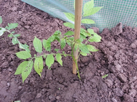 20130602_094133.webp