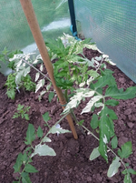 20130602_094139.webp