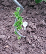 20130602_094150.webp