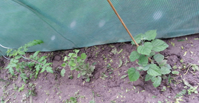 20130602_094621.webp