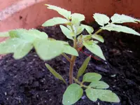 20130602_124959.webp