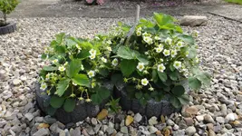 DSC07430.webp