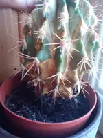 2013-06-02 18.42.25.webp