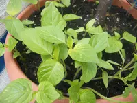 DSCF3973.webp
