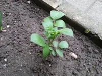 20130602_200910.webp