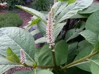 20130602_204801.webp