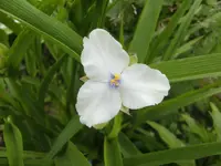 CIMG5298.webp