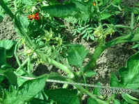 BILD3404.webp