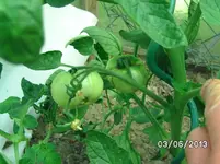BILD3405.webp