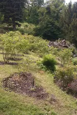 IMAG0720.webp