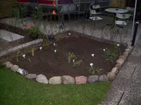 100_0731.webp