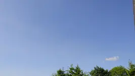 DSC07444.webp