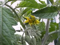 20130603 033.webp