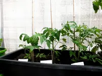 20130603 044.webp