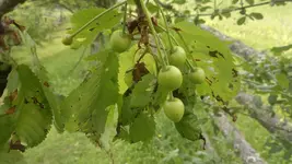 030620131578.webp