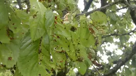 030620131579.webp