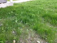 IMG_3086.webp
