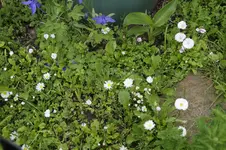 _DSC1657.webp