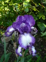 P1090740.webp