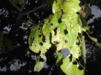CIMG0187 1.webp