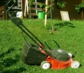 Rasenmäher mit Holzprothese thomash.webp