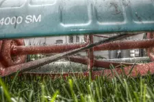 Kopf einziehen Regenwurm mikaa.webp