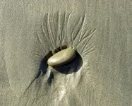 Steinspuren v (1).webp