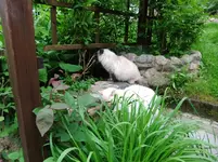DSCF0052_34_1.webp
