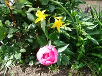 DSCF0030_7_1.webp