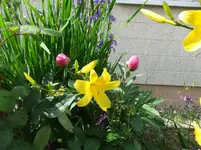 DSCF0031_8_1.webp
