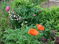 DSCF0035_14_1.webp