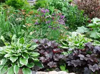 DSCF0037_16_1.webp