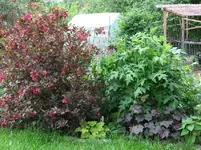 DSCF0046_27_1.webp
