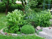 DSCF0045_26_1.webp