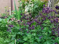 DSCF0044_25_1.webp