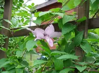 DSCF0042_23_1.webp