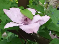DSCF0043_24_1.webp