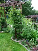 DSCF0053_r1_36_1.webp